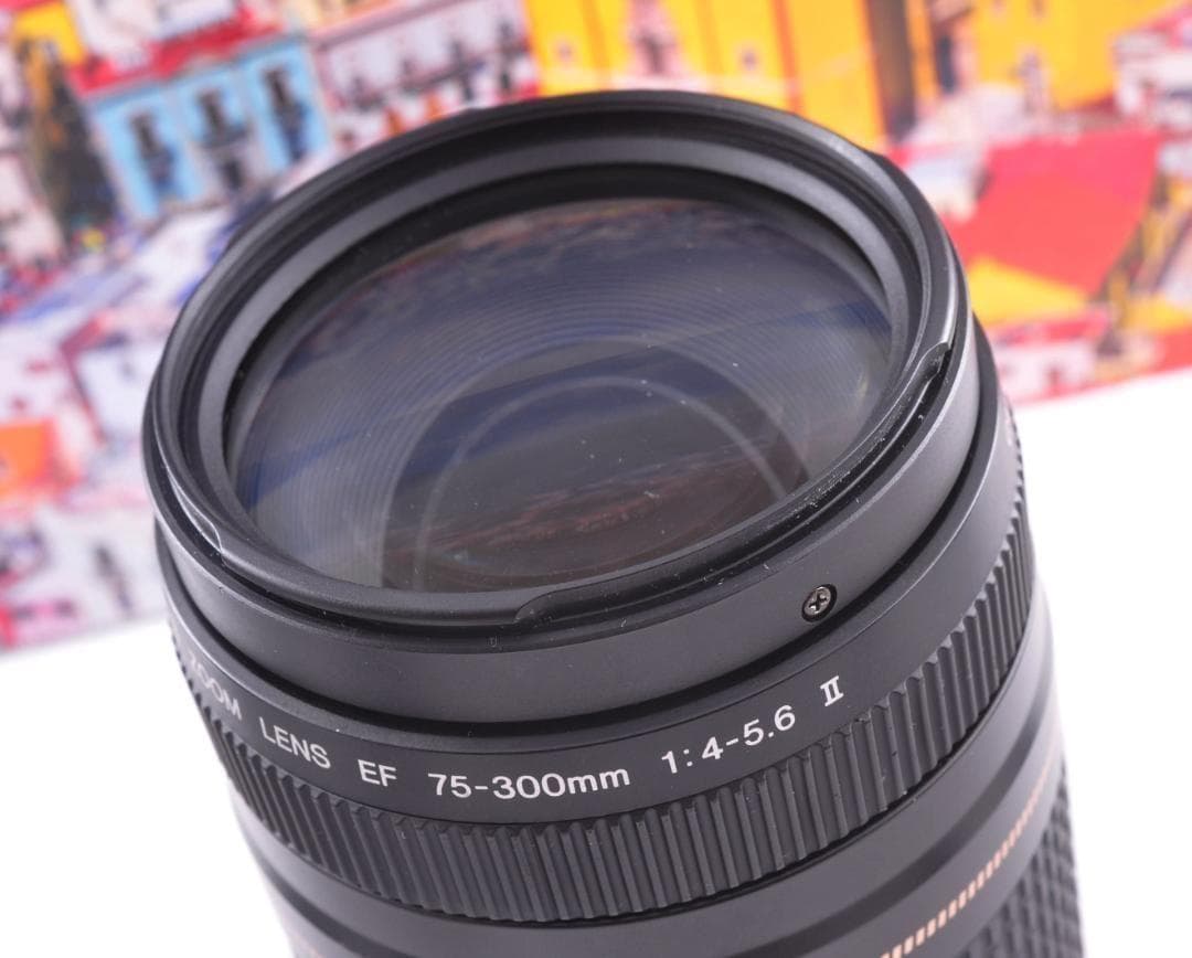 ★望遠レンズ Canon キヤノン EF75-300mm 想い出の瞬間 #3