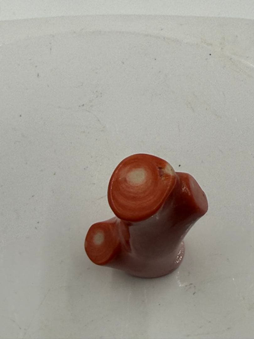 天然珊瑚印材