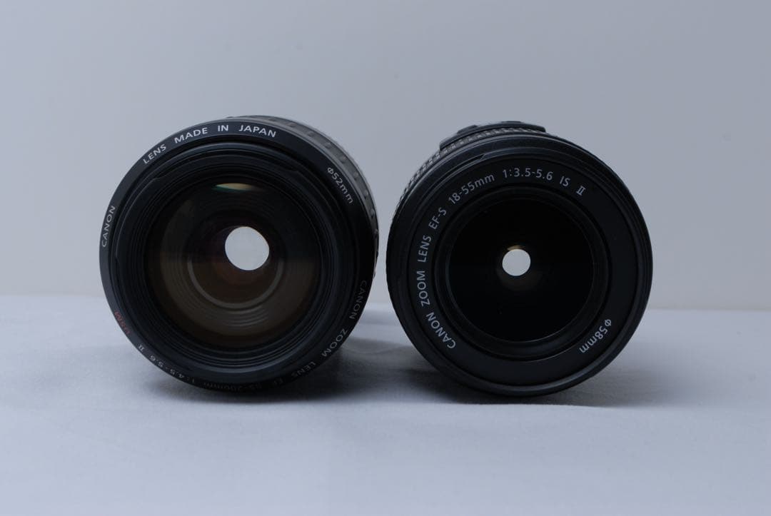 Canon Kiss X5 ダブルズーム 望遠付 動作確認済 初心者おすすめ