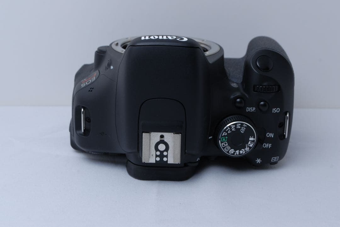 Canon Kiss X5 ダブルズーム 望遠付 動作確認済 初心者おすすめ