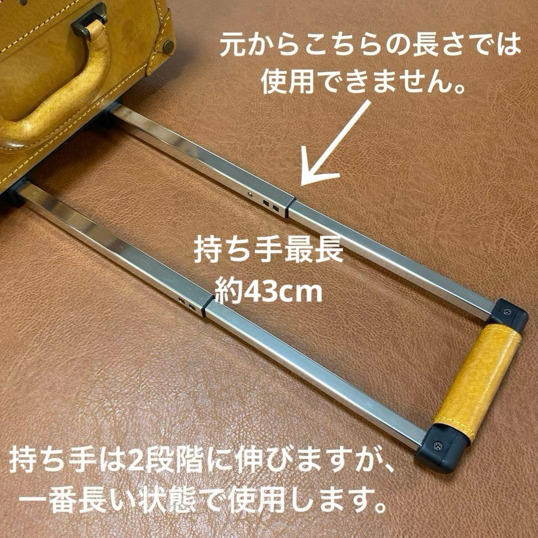 シフレ ユーラシア トランク キャメル 1点キャリーバッグ　豚革　レザー