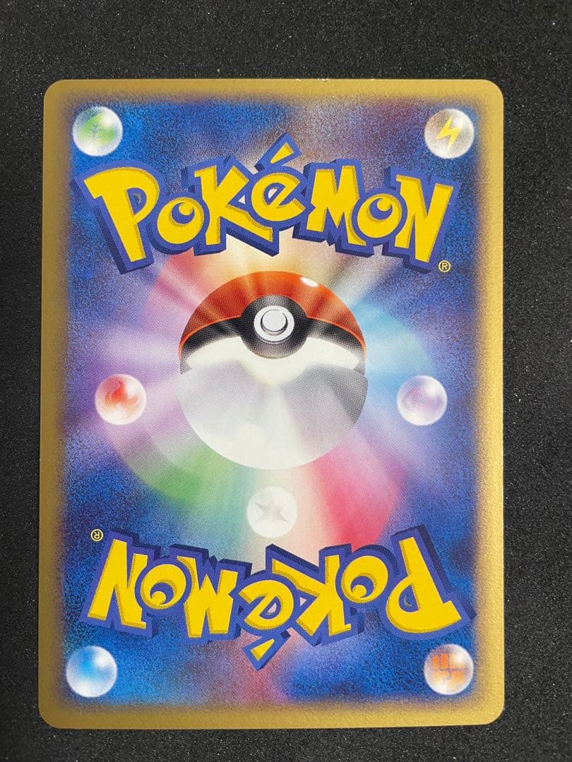 ポケモンカードゲーム ポケパーク プレミアムファイル フォレストシート
