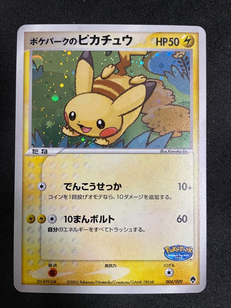 ポケモンカードゲーム ポケパーク プレミアムファイル フォレストシート