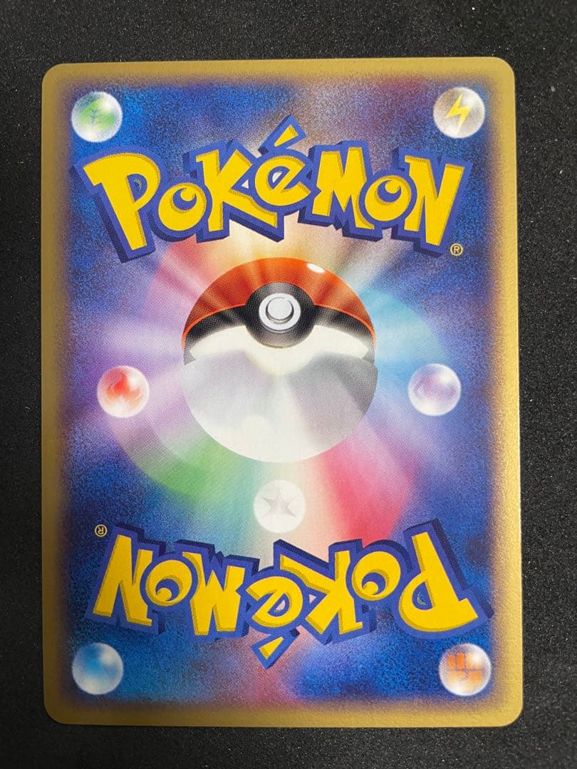 ポケモンカードゲーム ポケパーク プレミアムファイル フォレストシート
