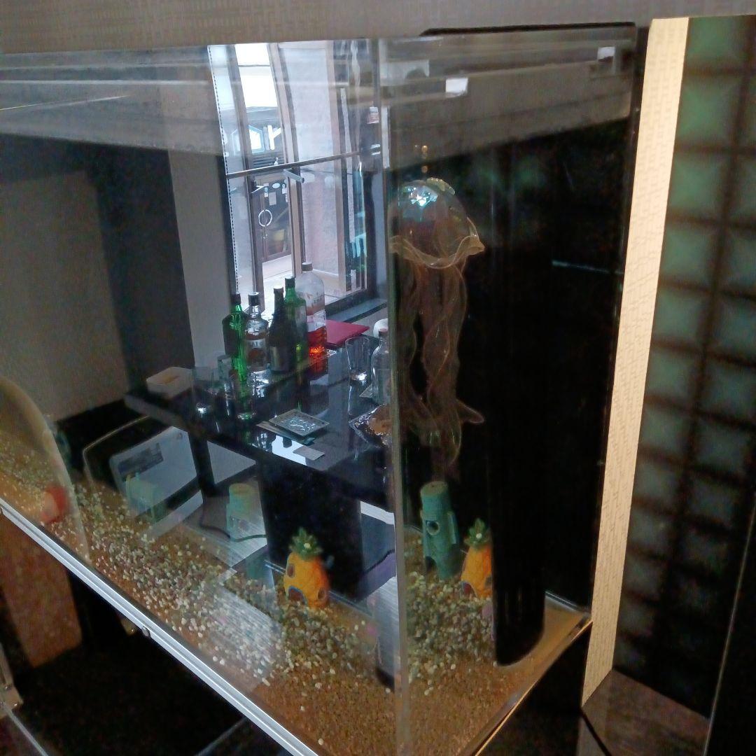 大型アクリル水槽 淡水水槽 150cm