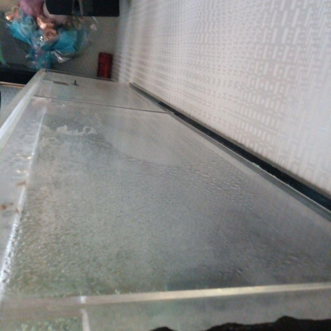 大型アクリル水槽 淡水水槽 150cm