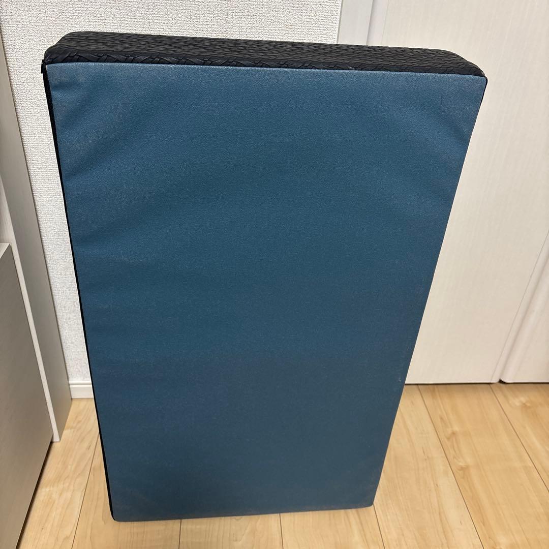 サンテプラス フレックスバレル くじら型 フレックスクッション