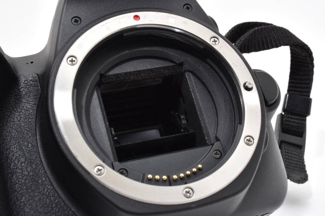 ★外観美品★ キヤノン CANON EOS KISS X9 ボディ
