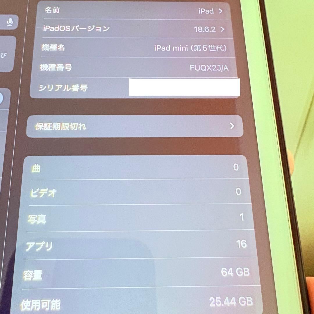 Apple iPad mini 第5世代 保護フィルム・ケース付き