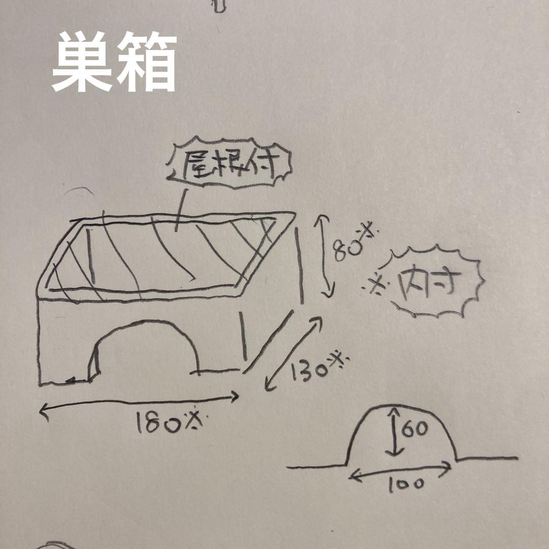 りこママ　トカゲ用　ロフト巣箱