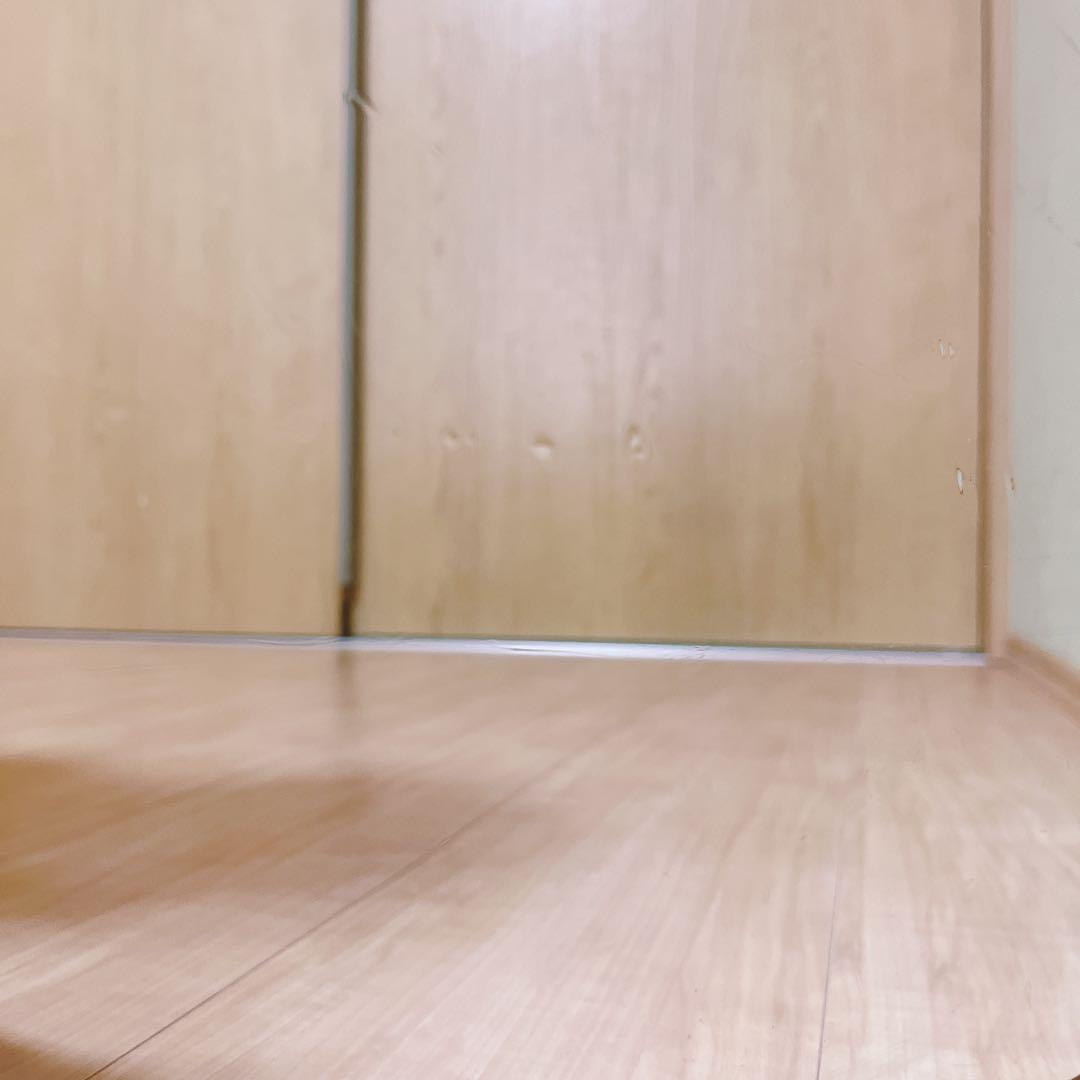リフェクス割れない軽量な鏡45×120cmシャンパンゴールド