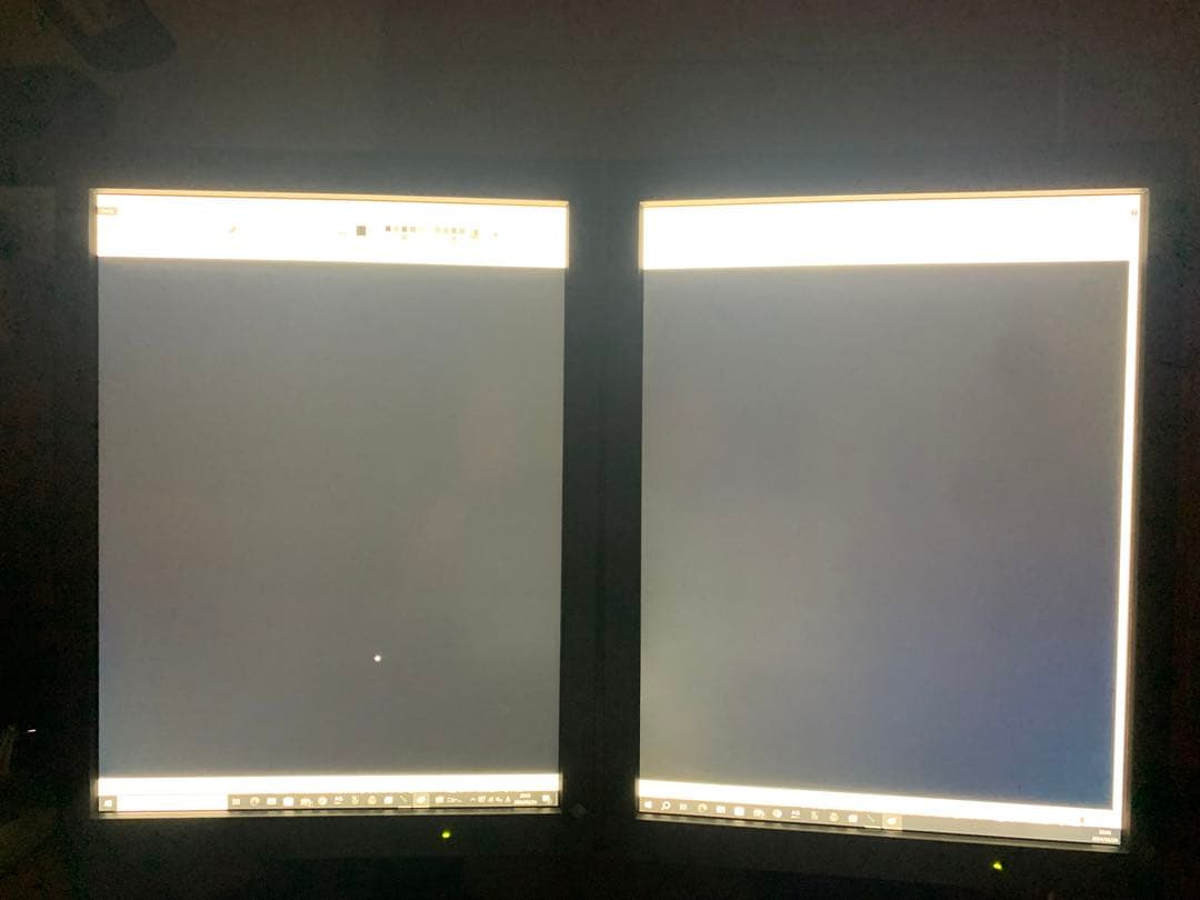Radiforce GS320 2枚セット