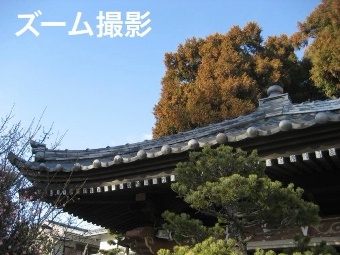 実写美⭕️【動作確認済】Canon　IXY　DIGITAL 70 PC1193