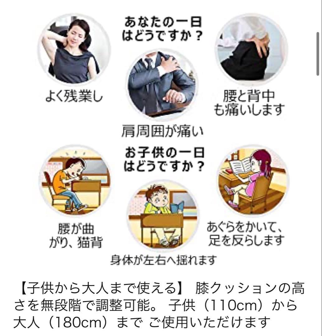 大阪市北区　引き取り限定　バランスチェア プロポーションチェア 姿勢腰痛対策