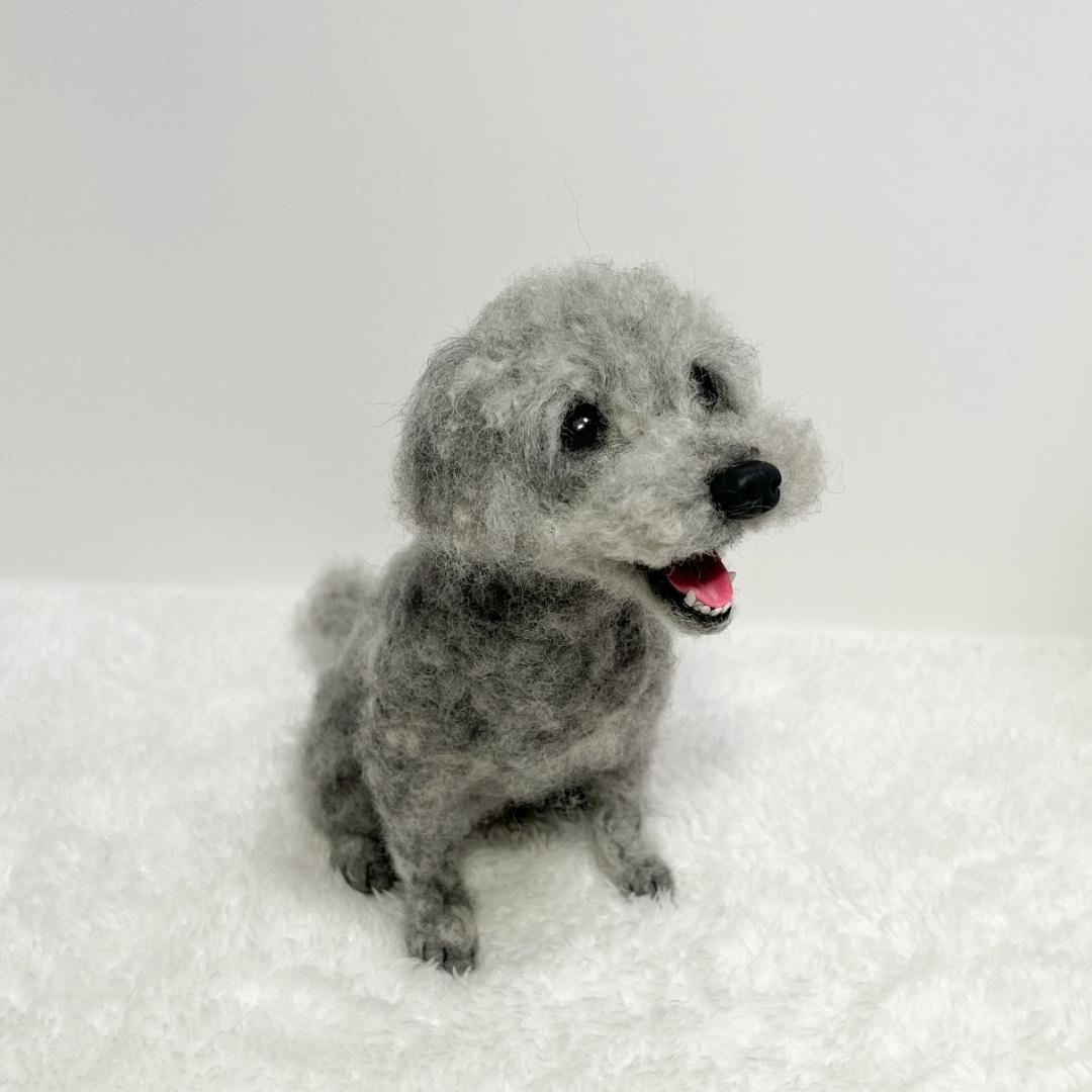 にこです