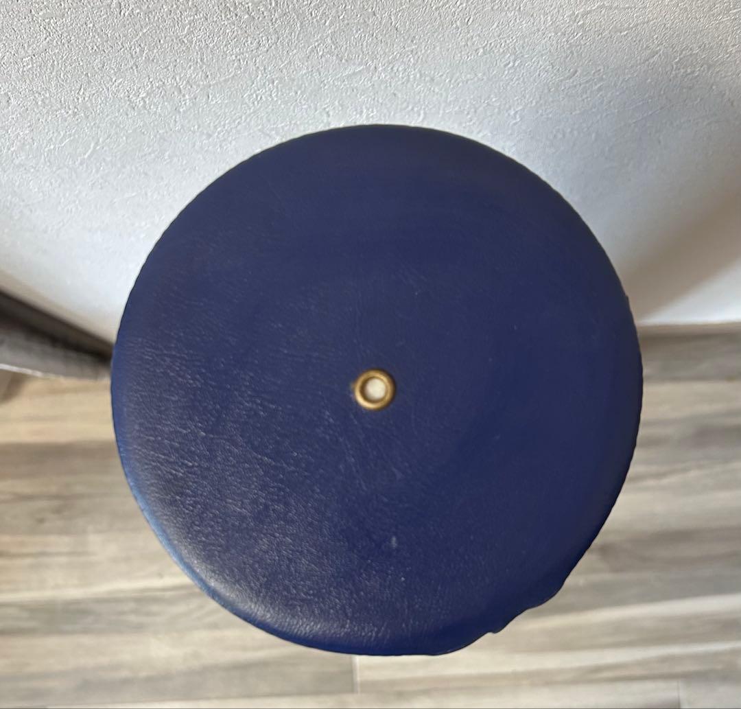 ★LPN ストレッチポール/EXネイビー　正規品 ★