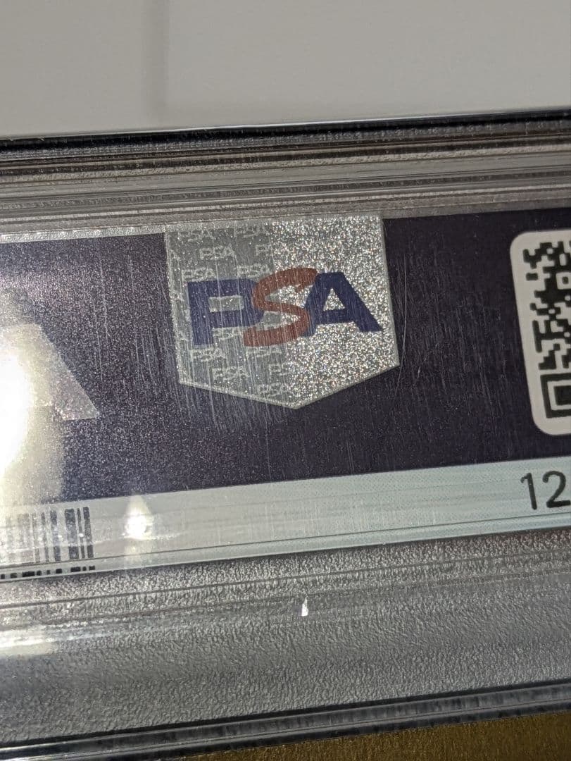 PSA10 ピカチュウAR 173/165