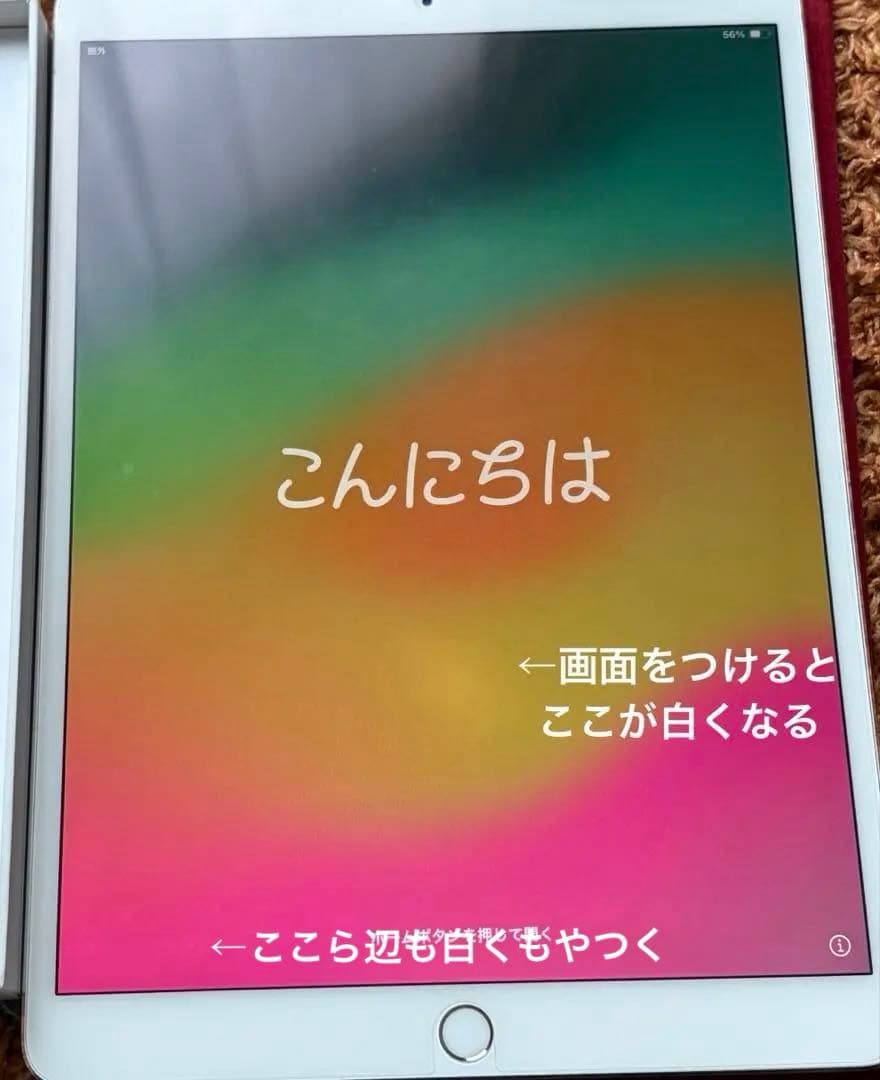 iPad Pro(第二世代) 10.5インチ256GBシルバー