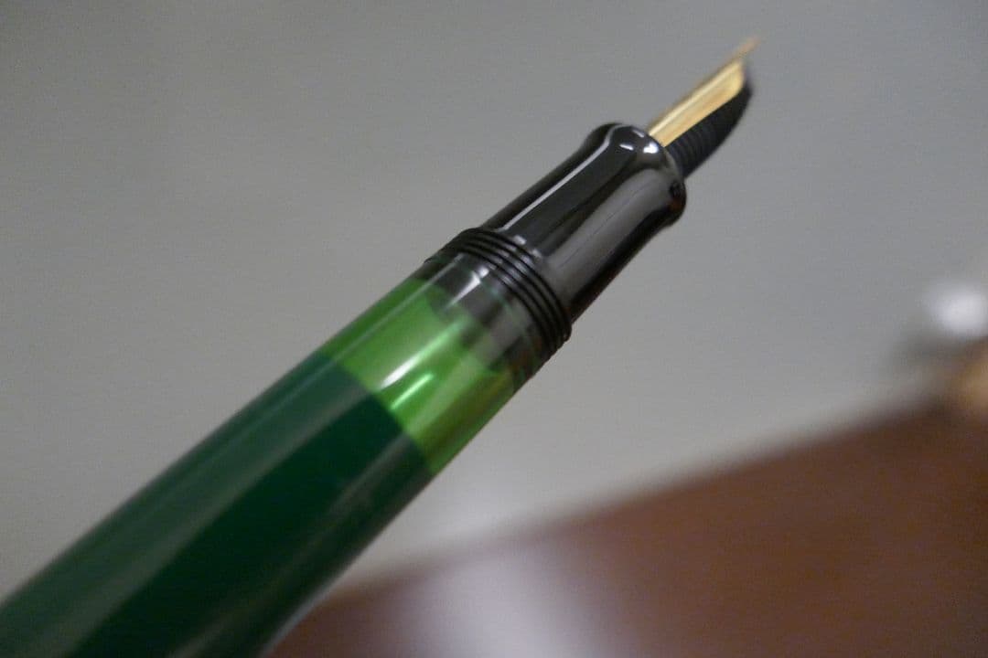 ペリカン Pelikan D-3000 ペンタイプEF