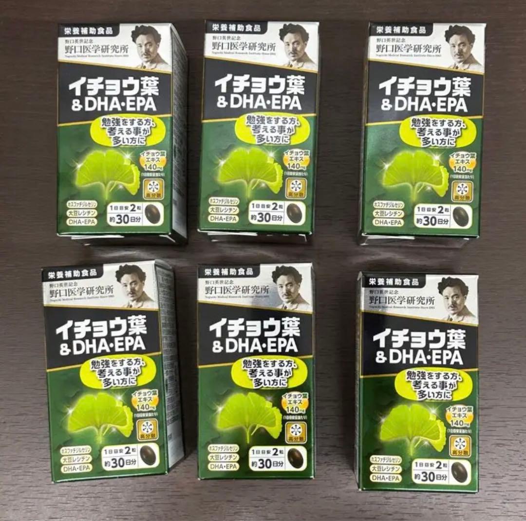 10個 野口医学研究所 イチョウ葉&DHA・EPA 60粒 国内正規品 新品