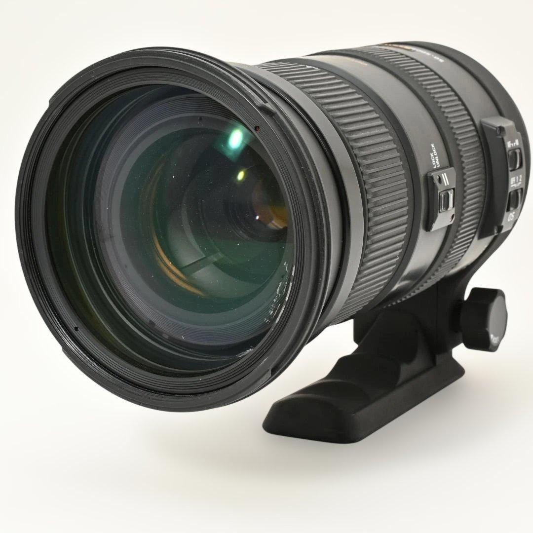 【美品】 SIGMA APO 50-500mm DG OS HSM キヤノン用