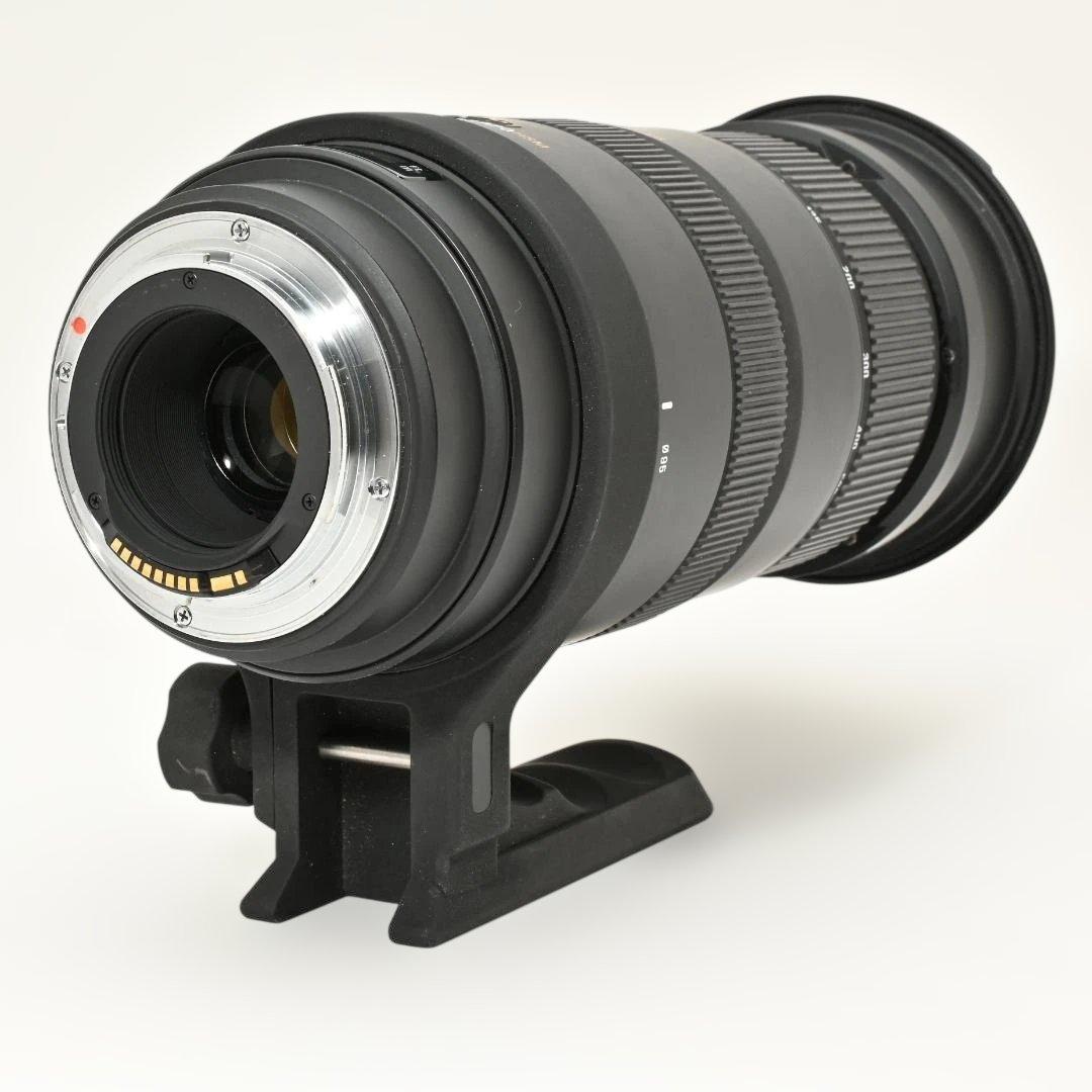 【美品】 SIGMA APO 50-500mm DG OS HSM キヤノン用