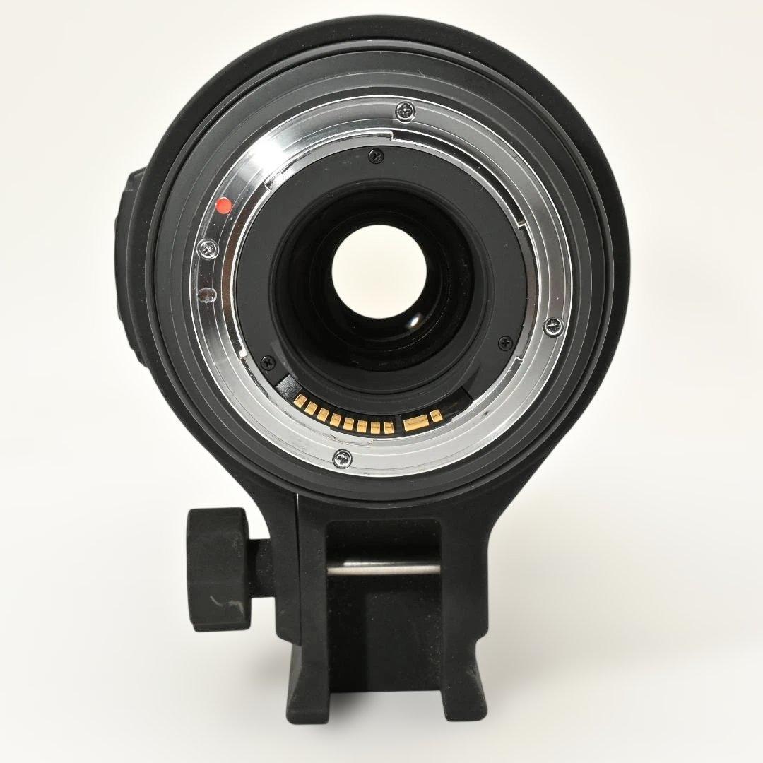 【美品】 SIGMA APO 50-500mm DG OS HSM キヤノン用