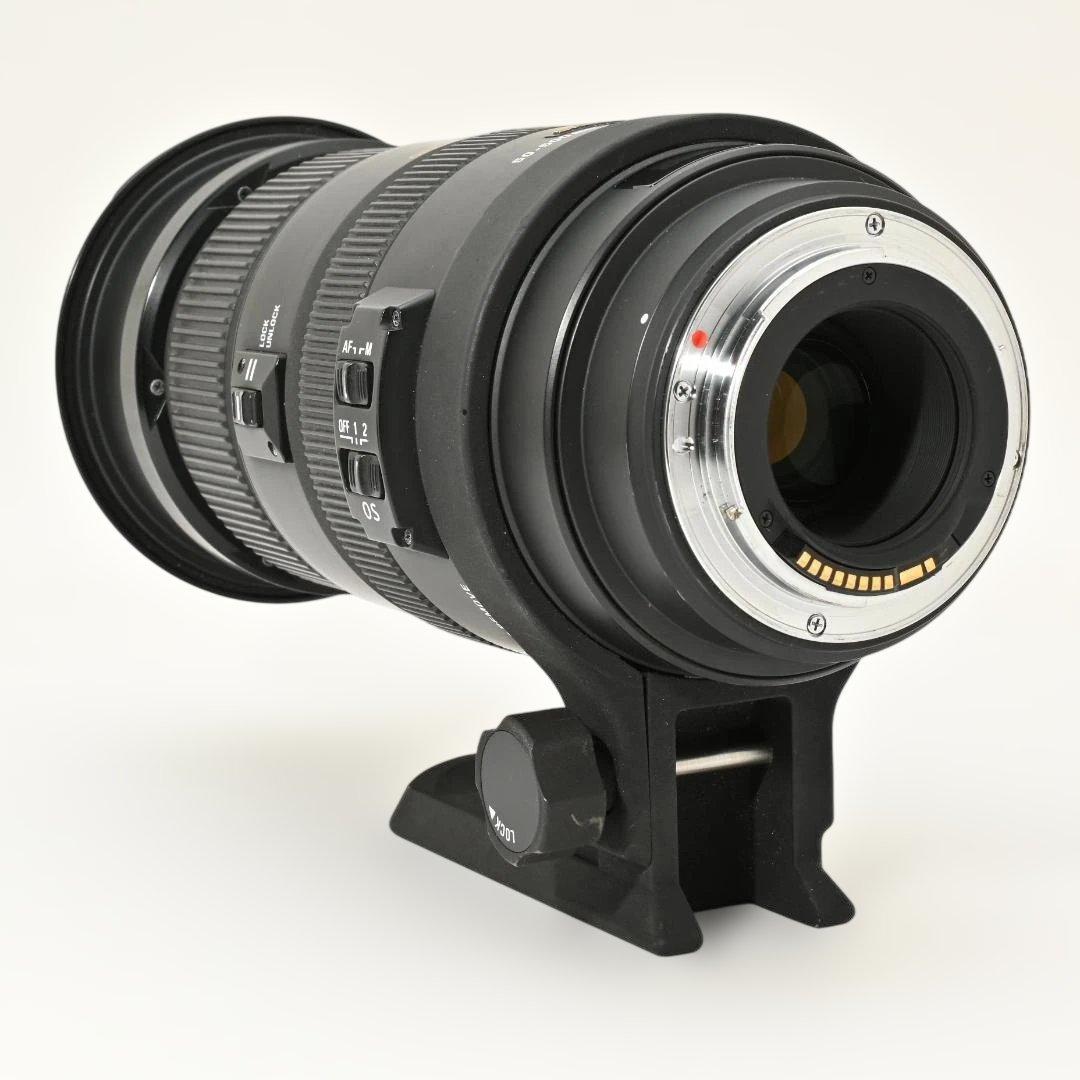 【美品】 SIGMA APO 50-500mm DG OS HSM キヤノン用