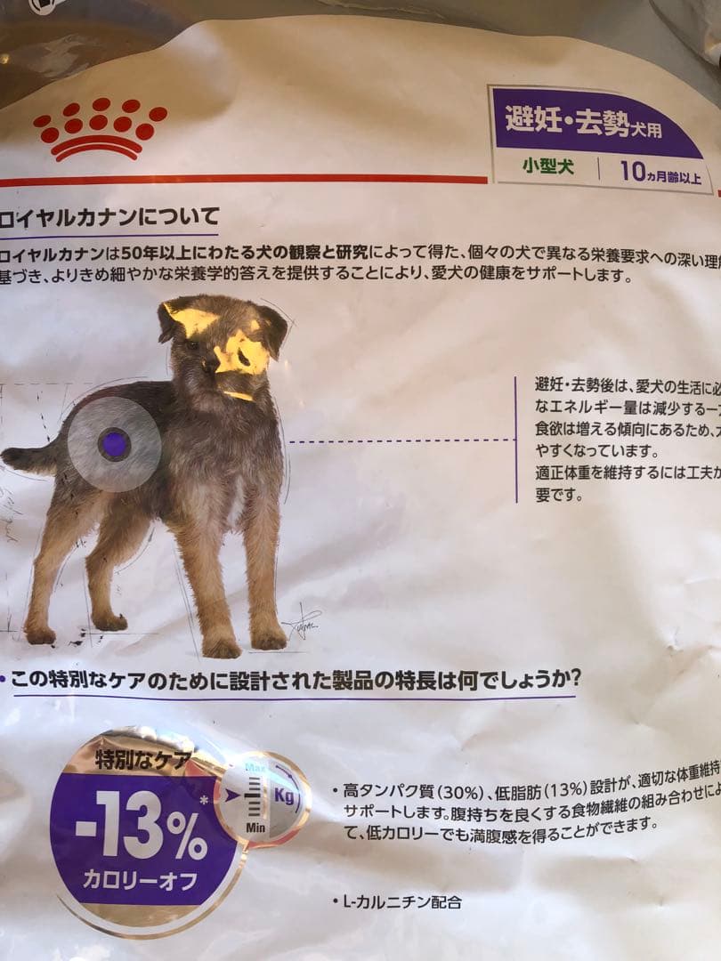 ロイヤルカナン　ミニステアライズド　小型犬　8kg×1袋