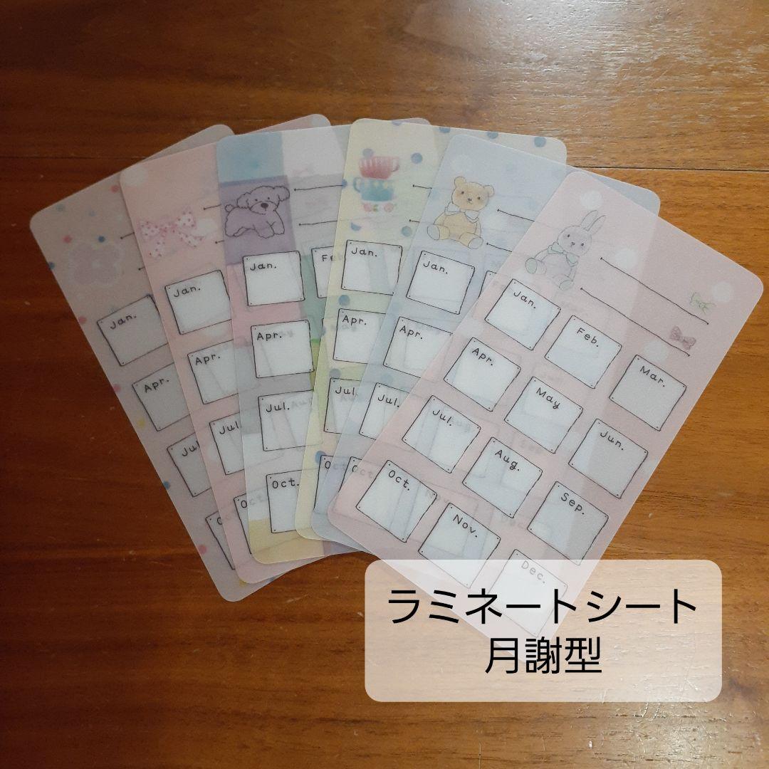 saving　バインダーポケットリフィル　カラフルvol.2　貯金封筒