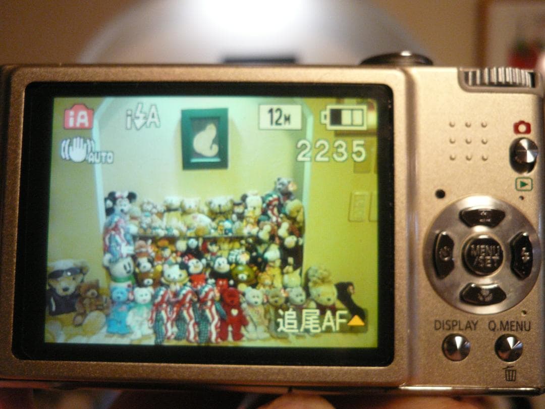 LUMIX★DMC-FX40⭐️美品⭕️箱入完品⚠️必読有❤️安心の実働品