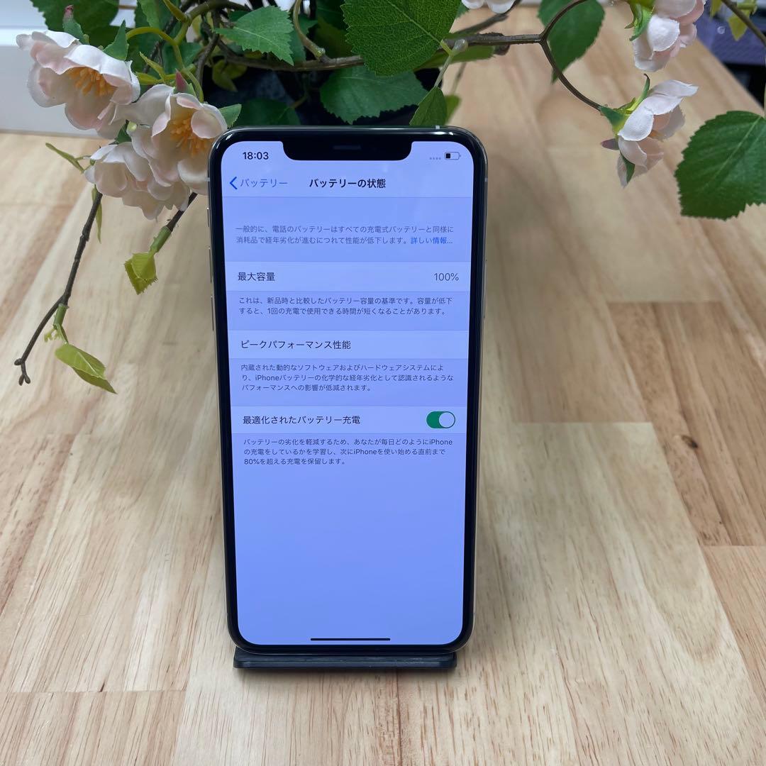 新品 iPhone 11ProMax 256Gb シルバー国内版SIMフリー
