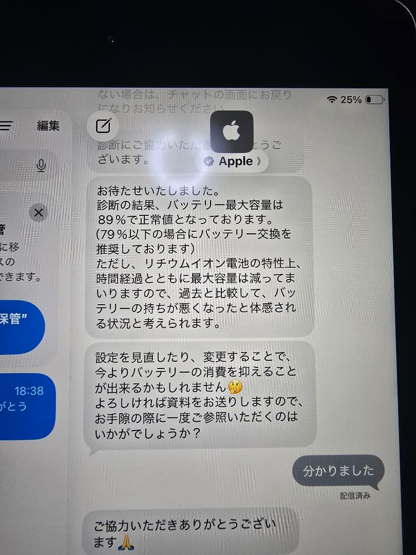 iPad mini 7.9インチ 64GB Wi-Fi 2019 最大容量89%