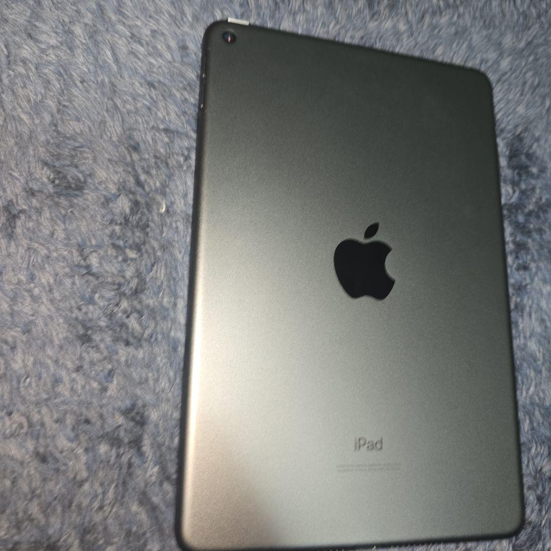 iPad mini 7.9インチ 64GB Wi-Fi 2019 最大容量89%
