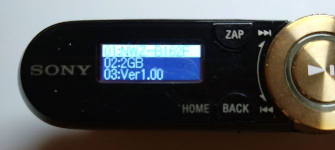 SONY UK WALKMAN NWZ-B162F 本体のみ