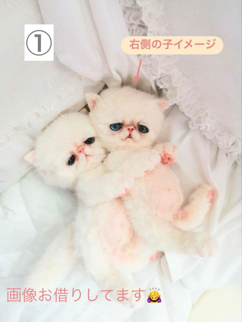 ♥ ペルル様 オーダー確認ページ ♥