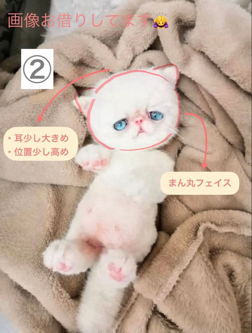 ♥ ペルル様 オーダー確認ページ ♥