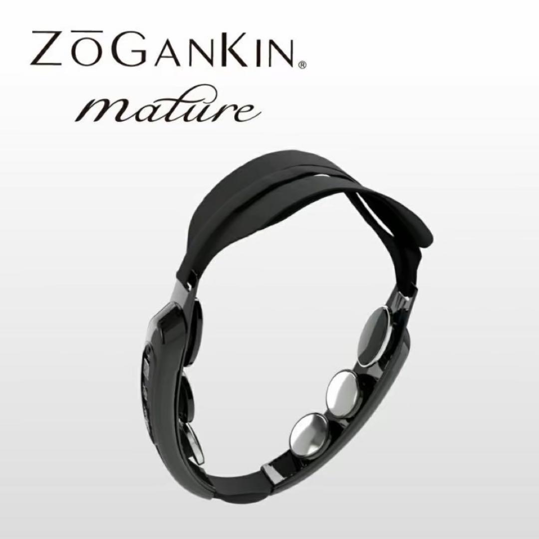 通販の虎ゾーガンキン マチュアZOGANKIN MATURE 説明書充電コード付
