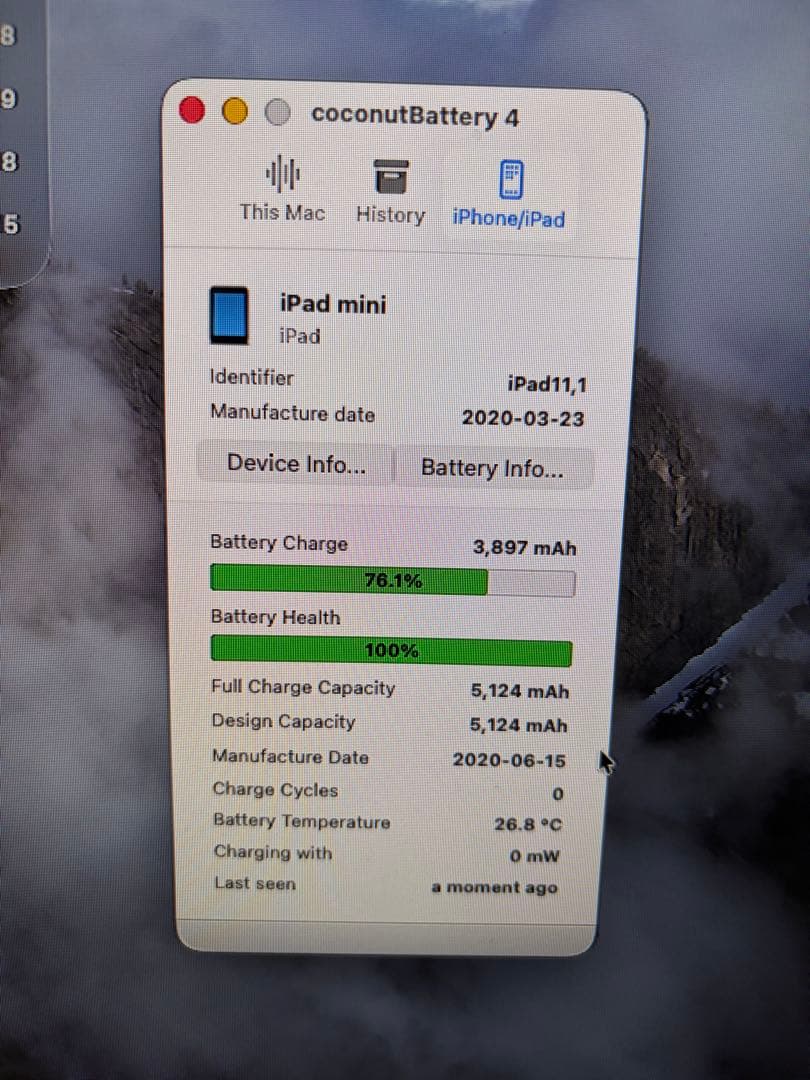 iPad mini (第5世代) ゴールド 64GB