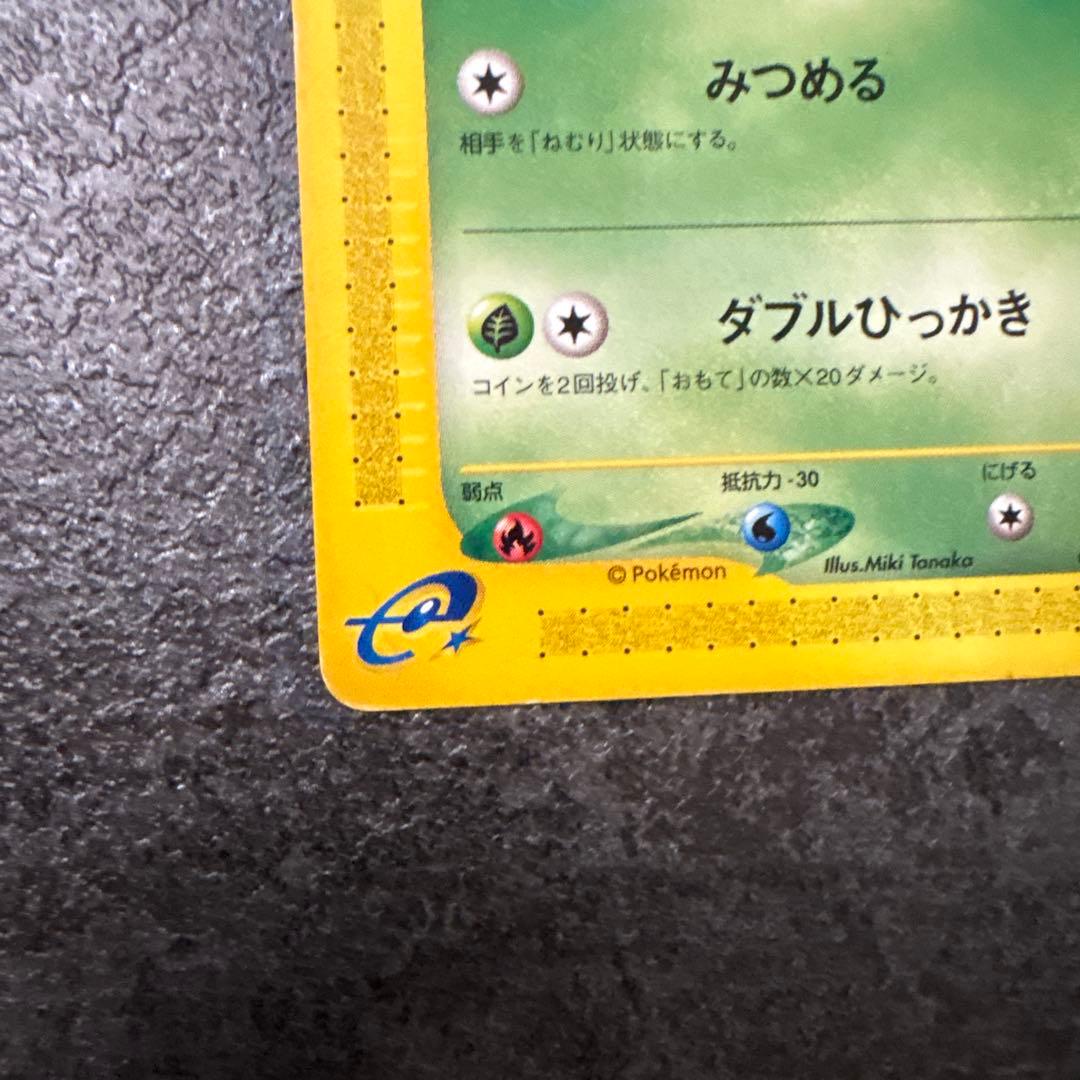 ポケモンカード e eカード チコリータ 005/029 アンリミ