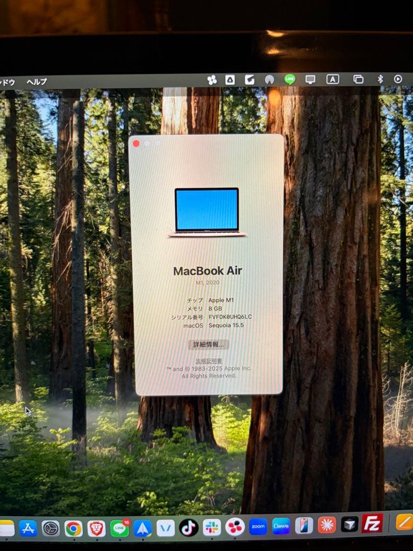MacBook本体 Apple MacBook Air (M1, 8GB, 256GB)