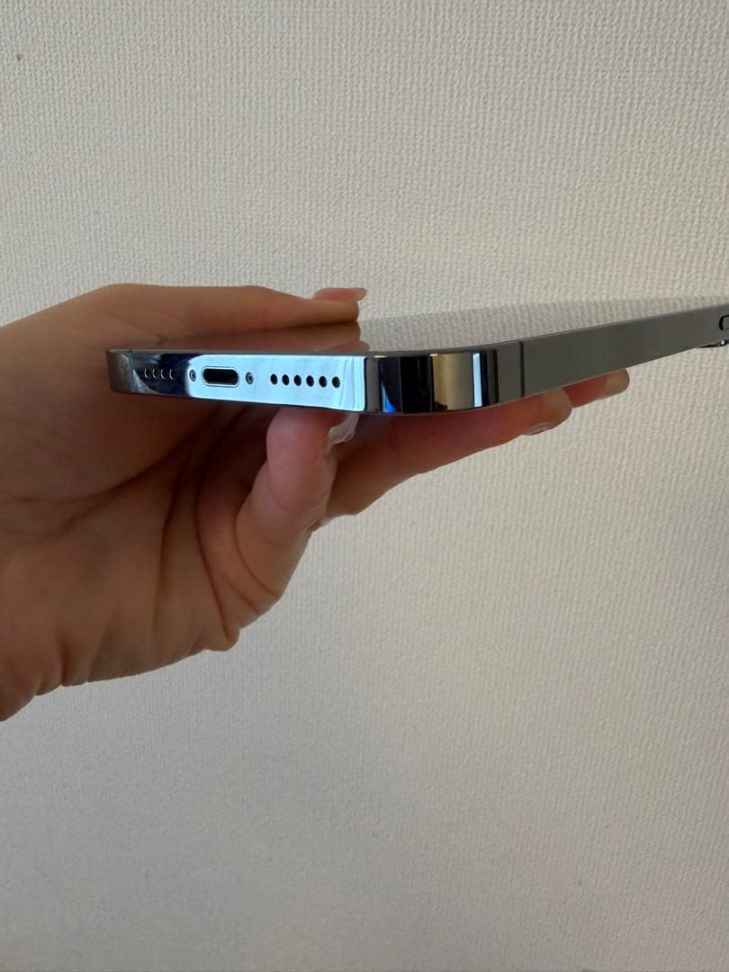 【3月28日まで出品】iPhone13 Pro Max