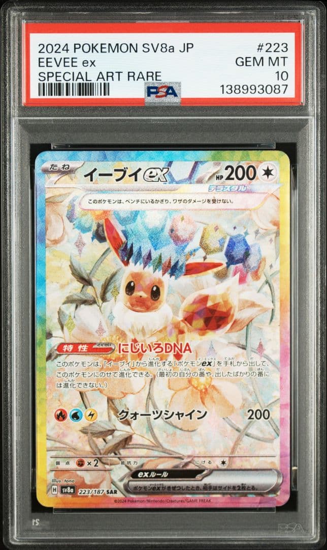 【PSA10】ブイズex SAR　テラスタルフェスex　新ケース　10枚セット