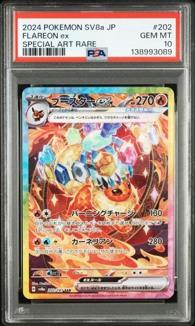 【PSA10】ブイズex SAR　テラスタルフェスex　新ケース　10枚セット