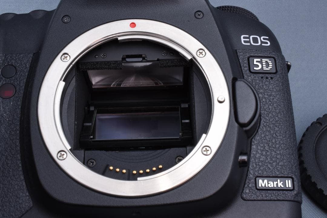 極美品♪ Canon EOS 5D Mark II 本体 BG-E6付 元箱付