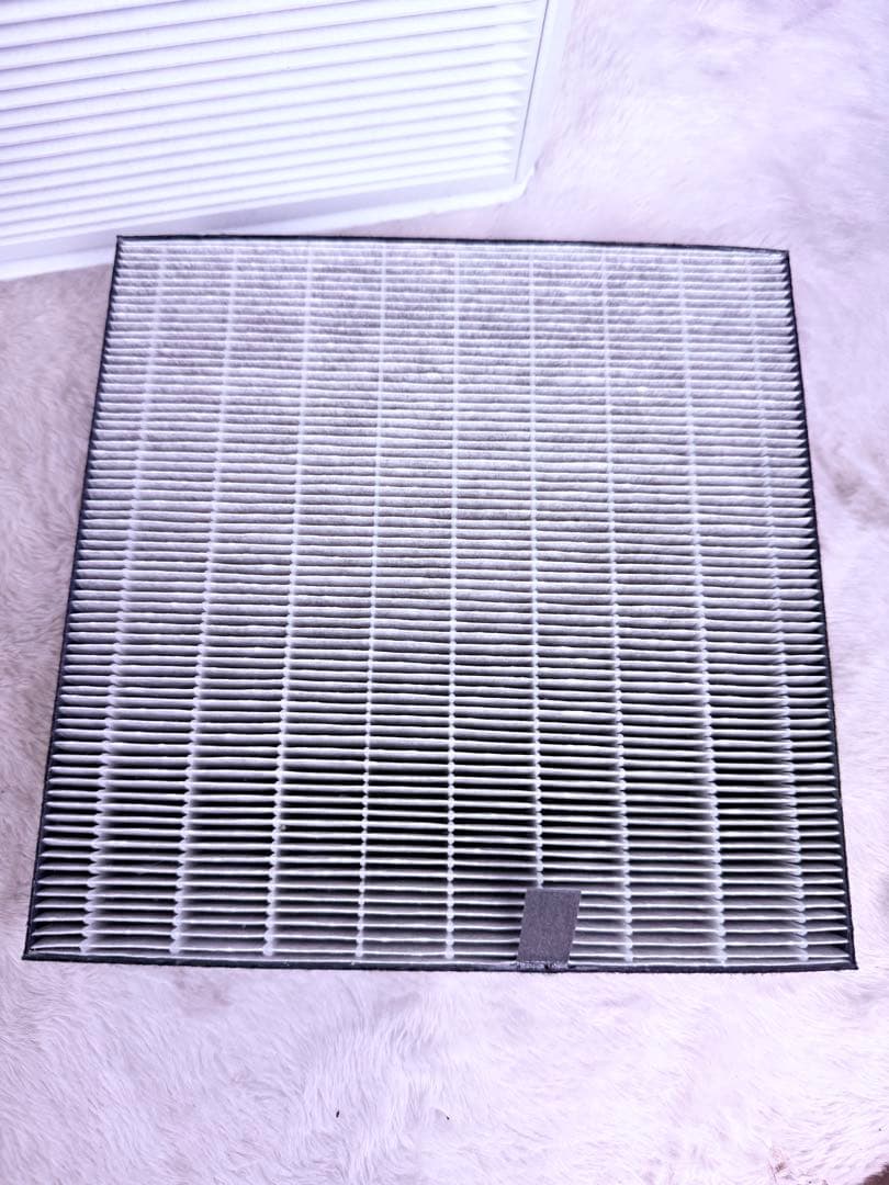 DAIKIN ストリーマ空気清浄機 ACM55W-W 2020年製 25畳対応