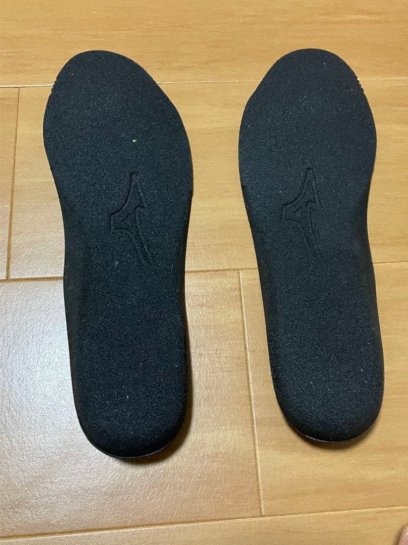 ミズノ mizuno C1GA160245 28.0cm 安全靴