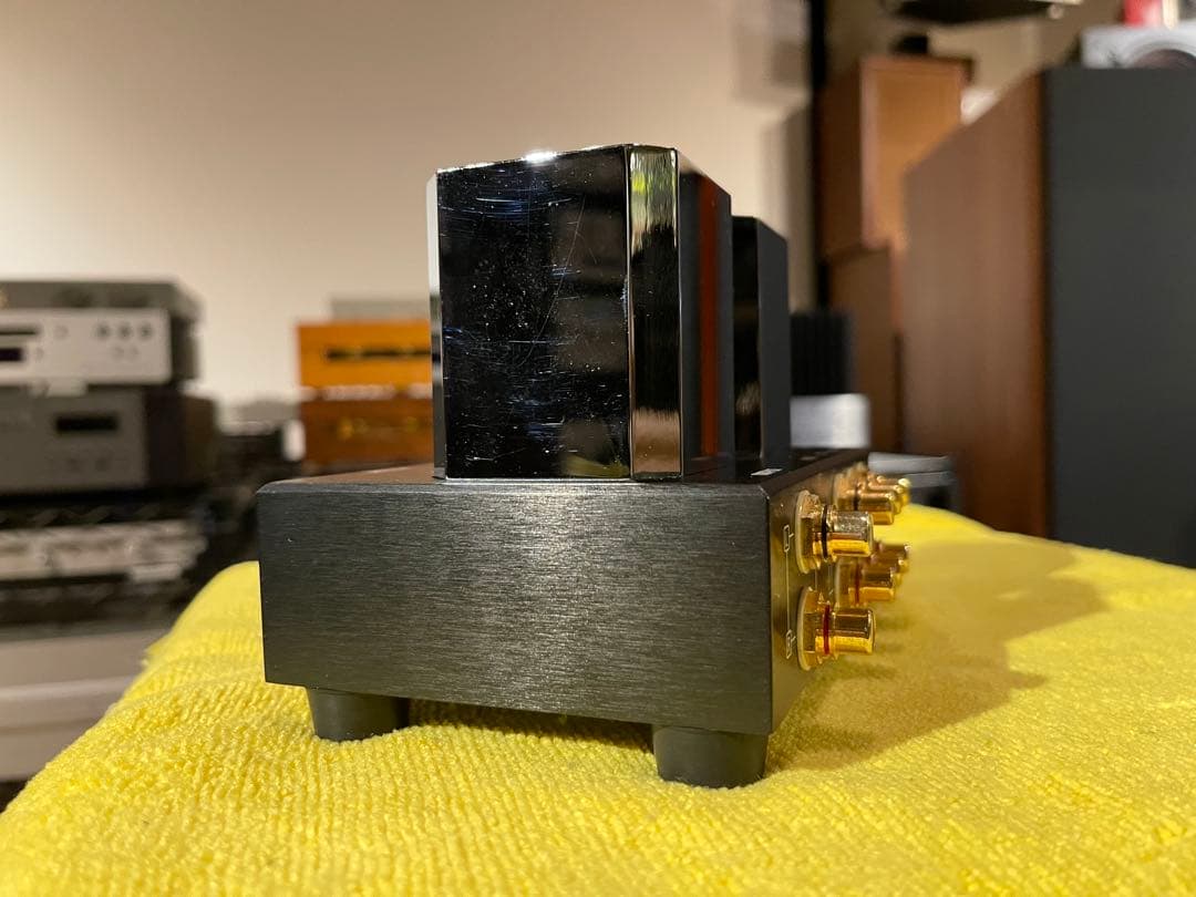 RAPHAELITE PASSIVE PRE-PM2.1 パッシブプリアンプ