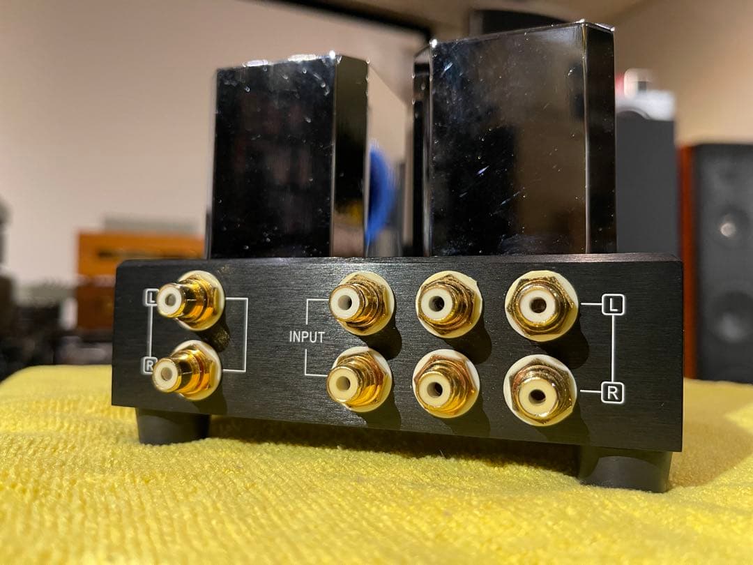 RAPHAELITE PASSIVE PRE-PM2.1 パッシブプリアンプ