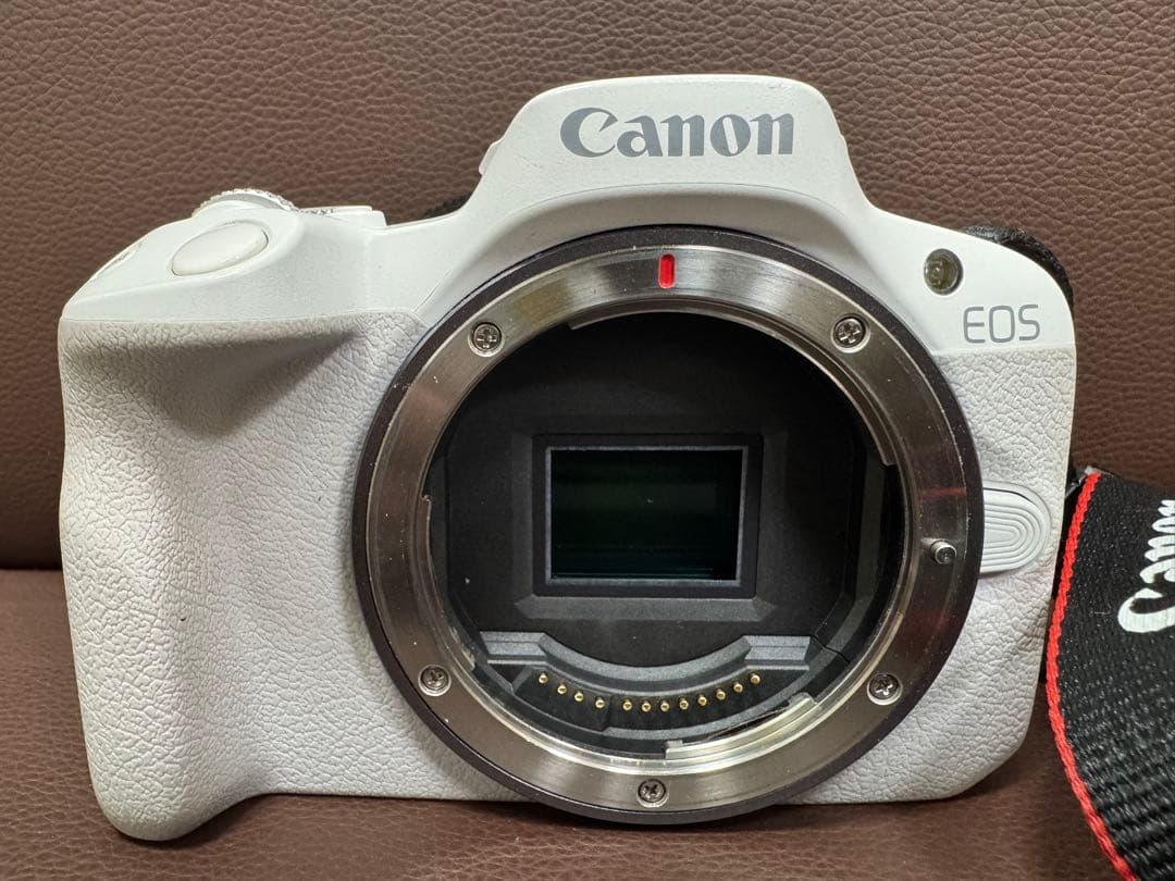Canon EOS R50ホワイト ズームレンズキット　RF50㎜f1.8付き